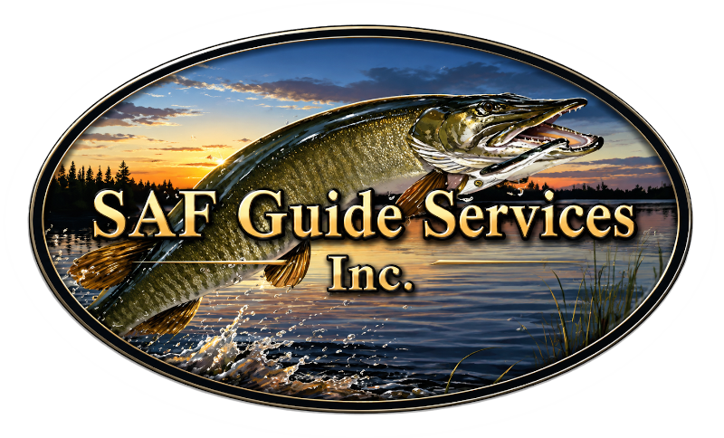 SAF Guide Services ...Cave Run Lake Musky Fishing Guide Services, located south of Morehead, Kentucky, USA